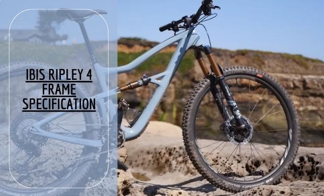 ibis ripley 4 frame specification